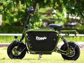 E-CarryBike Doggie Ver.３【GR】