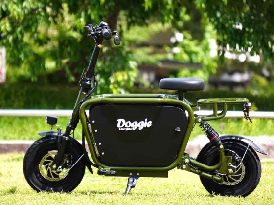 E-CarryBike Doggie Ver.３【GR】